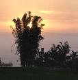 Hawái, Vista al océano Bahía de Hilo image 18